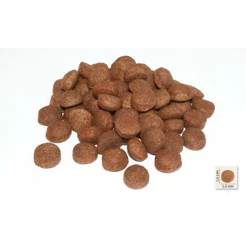 Bonacibo High Energy - Adult Dog (Csirke, Szardella és Rizs) 4KG