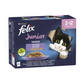   Felix Fantastic Multipack Junior Vegyes Válogatás Aszpikban 12x85g
