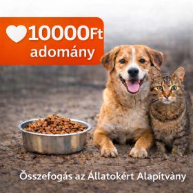 Adomány 10000FT