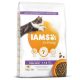 Iams Cat Kitten & Junior Chicken macskatáp 10kg