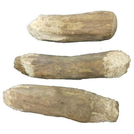 Teomann kávéfa rágóbot L>300g