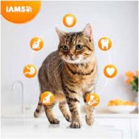 Iams