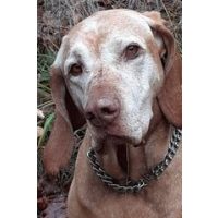 Márka,gyártók szerint