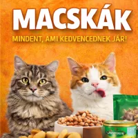 MACSKA