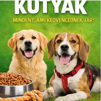 KUTYA