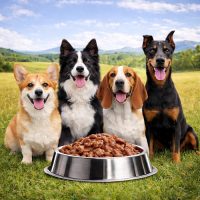 Kutyakonzerv,nedves eledel