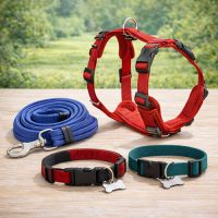 Hám, póráz, nyakörv