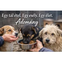 ADOMÁNY
