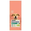 Dog Chow Adult light turkey 14kg